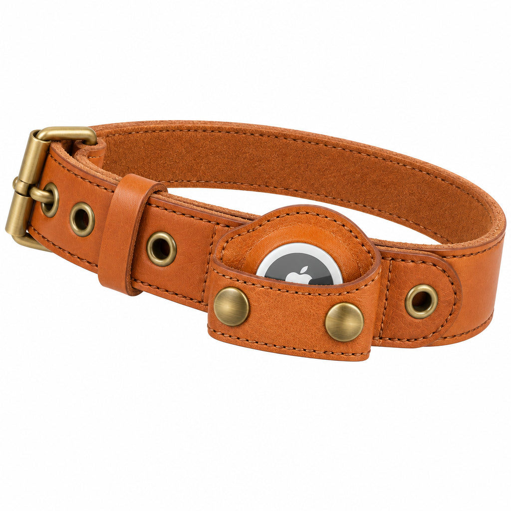 NOUVEAU RICHE GPS-Hundehalsband mit weltweitem Tracking ohne Abonnement – GPS Tracker Hund mit App, 3 Grössen, 5 Farben
