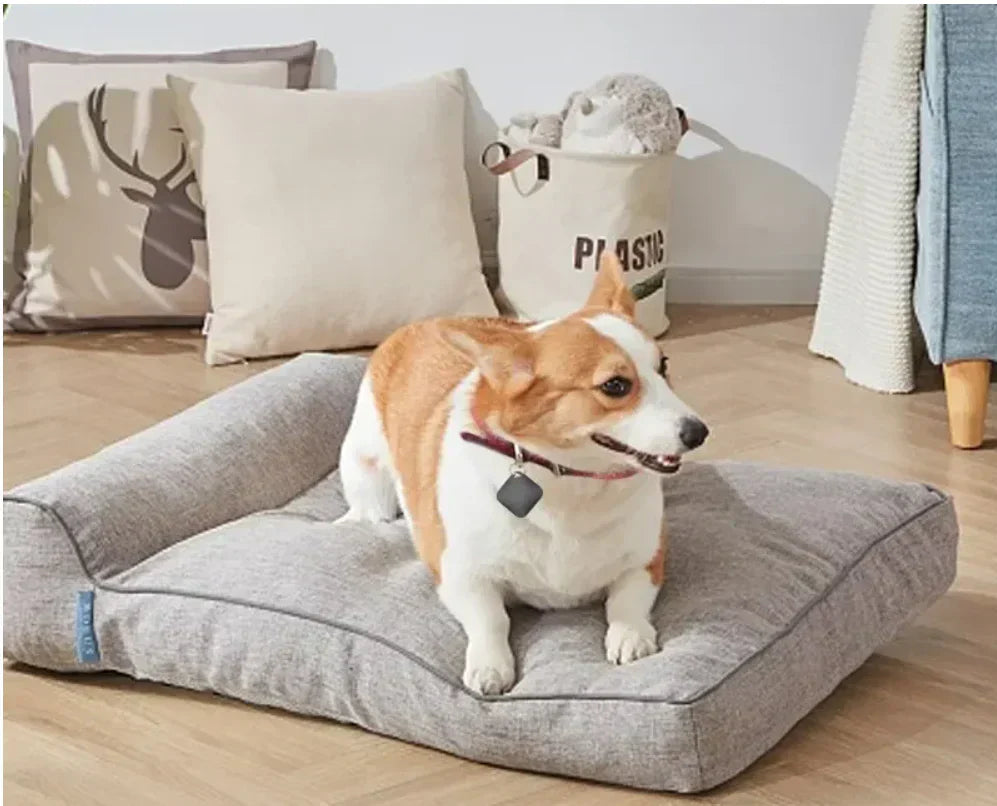 NOUVEAU RICHE PetTrack – Kompakter GPS-Tracker für Haustiere, Kinder & Wertsachen