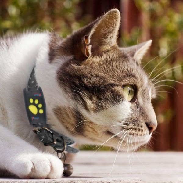 NOUVEAU RICHE GPS-Tracker für Hunde und Katzen – Leichter Haustier-Tracker für jedes Halsband, Ortung per App, lange Akkulaufzeit