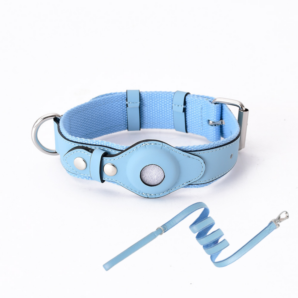 NOUVEAU RICHE GPS-Hundehalsband mit weltweitem Tracking ohne Abonnement – GPS Tracker Hund mit App, 3 Grössen, 5 Farben