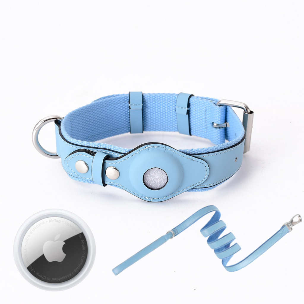 NOUVEAU RICHE GPS-Hundehalsband mit weltweitem Tracking ohne Abonnement – GPS Tracker Hund mit App, 3 Grössen, 5 Farben