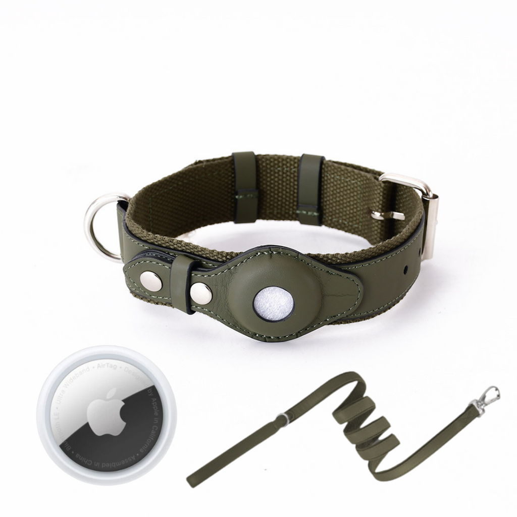 NOUVEAU RICHE GPS-Hundehalsband mit weltweitem Tracking ohne Abonnement – GPS Tracker Hund mit App, 3 Grössen, 5 Farben