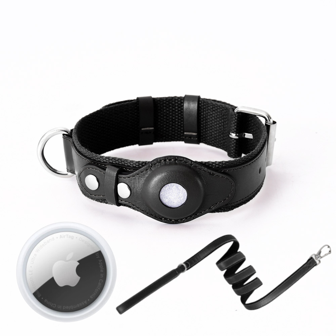 NOUVEAU RICHE GPS-Hundehalsband mit weltweitem Tracking ohne Abonnement – GPS Tracker Hund mit App, 3 Grössen, 5 Farben