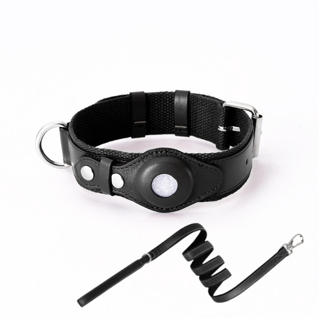 NOUVEAU RICHE GPS-Hundehalsband mit weltweitem Tracking ohne Abonnement – GPS Tracker Hund mit App, 3 Grössen, 5 Farben