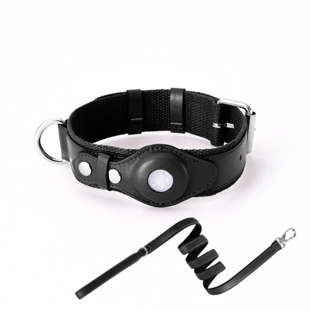 NOUVEAU RICHE GPS-Hundehalsband mit weltweitem Tracking ohne Abonnement – GPS Tracker Hund mit App, 3 Grössen, 5 Farben