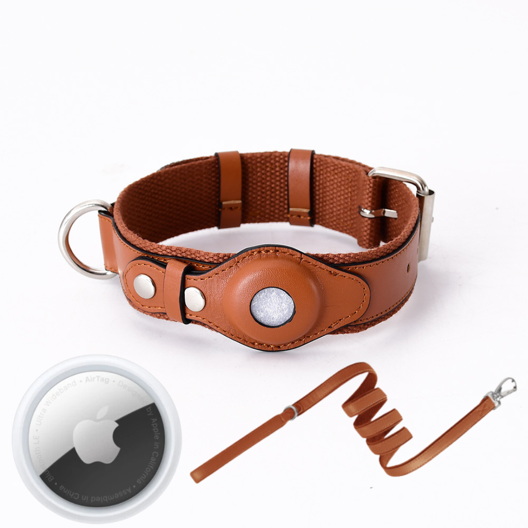 NOUVEAU RICHE GPS-Hundehalsband mit weltweitem Tracking ohne Abonnement – GPS Tracker Hund mit App, 3 Grössen, 5 Farben
