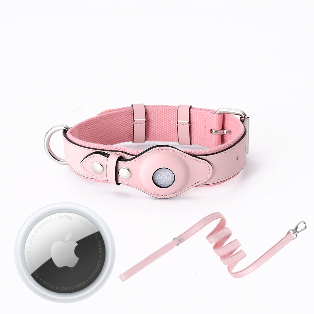 NOUVEAU RICHE GPS-Hundehalsband mit weltweitem Tracking ohne Abonnement – GPS Tracker Hund mit App, 3 Grössen, 5 Farben