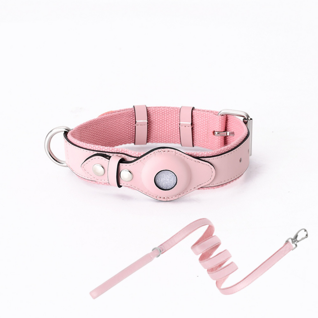 NOUVEAU RICHE GPS-Hundehalsband mit weltweitem Tracking ohne Abonnement – GPS Tracker Hund mit App, 3 Grössen, 5 Farben