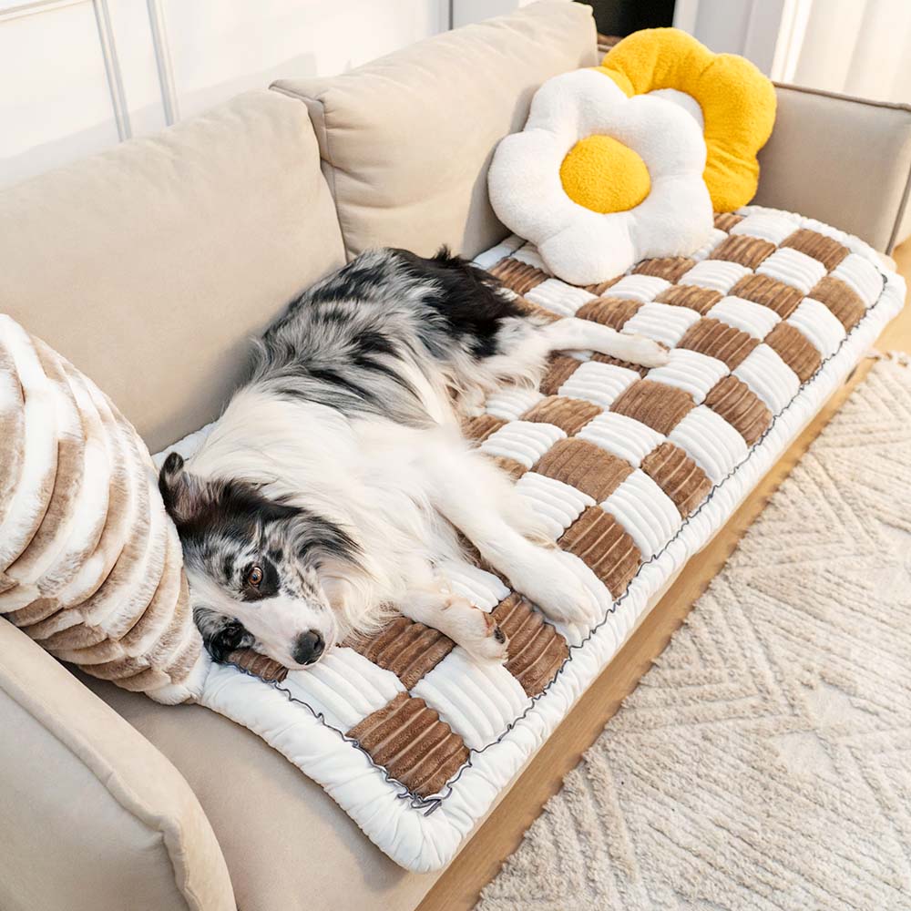 Blødt kæledyrstæppe – sofabeskytter til hunde og katte i chenille, skridsikkert hundetæppe, vaskbart – CozyCover
