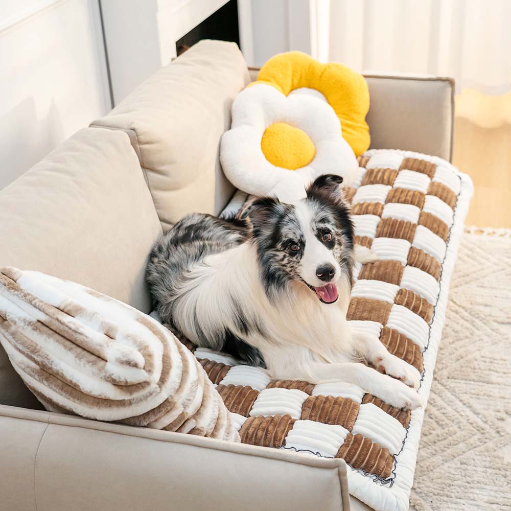 Blødt kæledyrstæppe – sofabeskytter til hunde og katte i chenille, skridsikkert hundetæppe, vaskbart – CozyCover