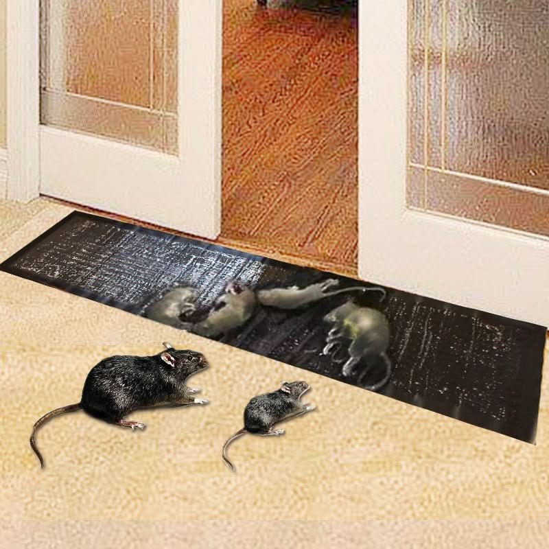 NOUVEAU RICHE Klebefallen für Mäuse und Ratten – Giftfrei, 10 Stück, grosse Fangfläche mit starkem Kleber – für Haus, Garage & Schopf