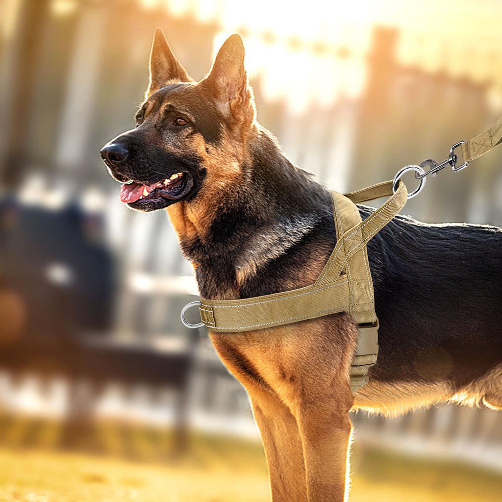 NOUVEAU RICHE No-Pull-Hundegeschirr mit Reflektordetails Khaki