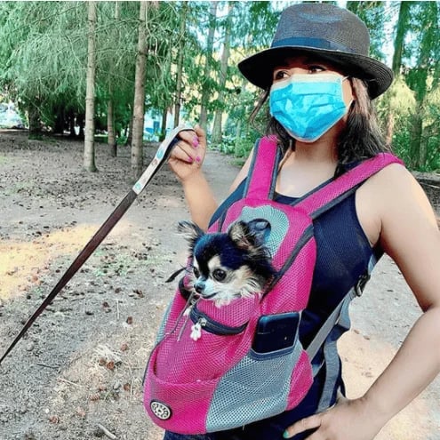 NOUVEAU RICHE Hunderucksack – Komfortabler & Atmungsaktiver Rucksack für Kleine & Mittelgroße Hunde