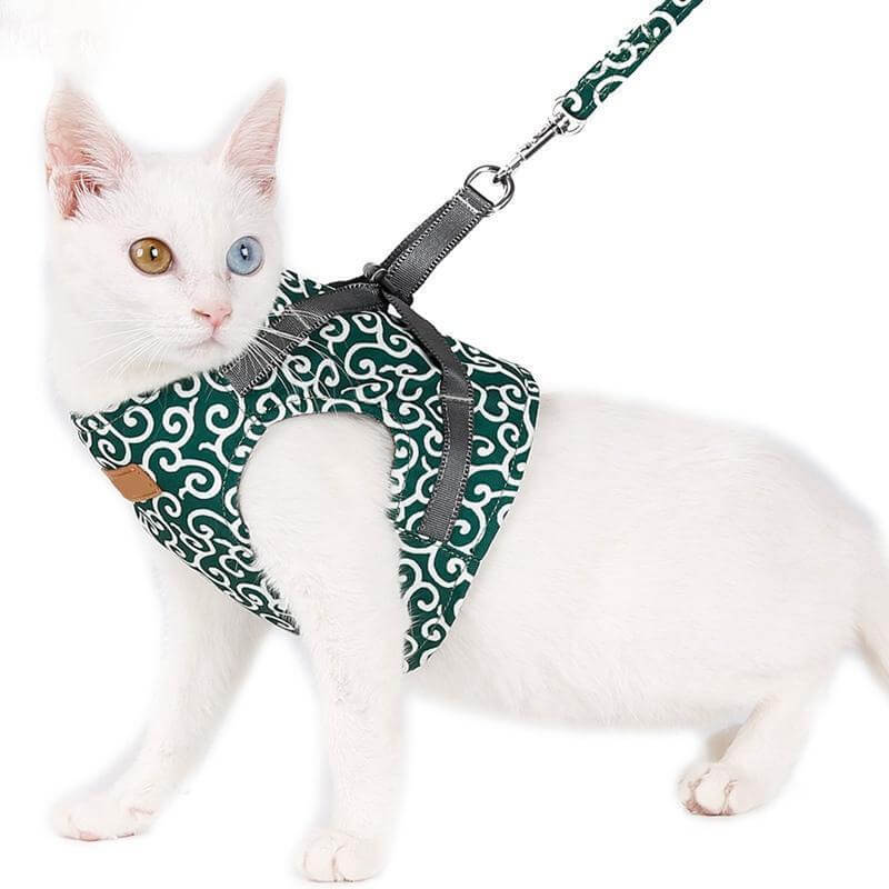 NOUVEAU RICHE Katzengeschirr mit Leine – Verstellbares Brustgeschirr aus atmungsaktivem Mesh mit Schnellverschluss & 1,2 m Leine, XS-S, 3 Farben