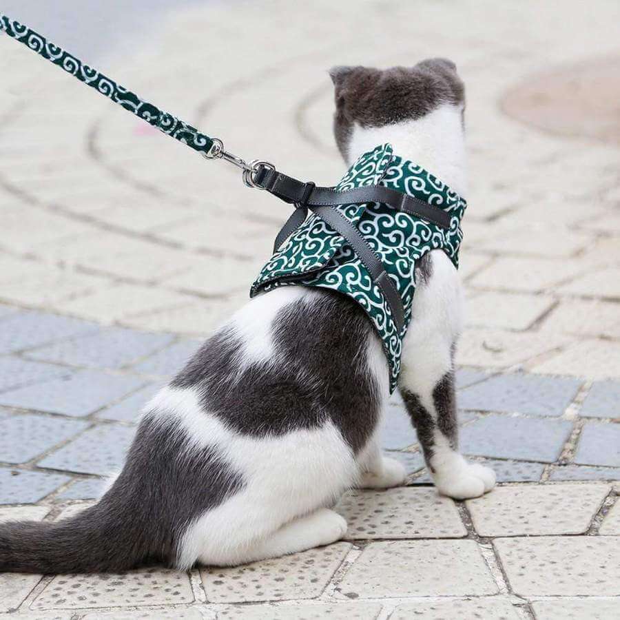 NOUVEAU RICHE Katzengeschirr mit Leine – Verstellbares Brustgeschirr aus atmungsaktivem Mesh mit Schnellverschluss & 1,2 m Leine, XS-S, 3 Farben