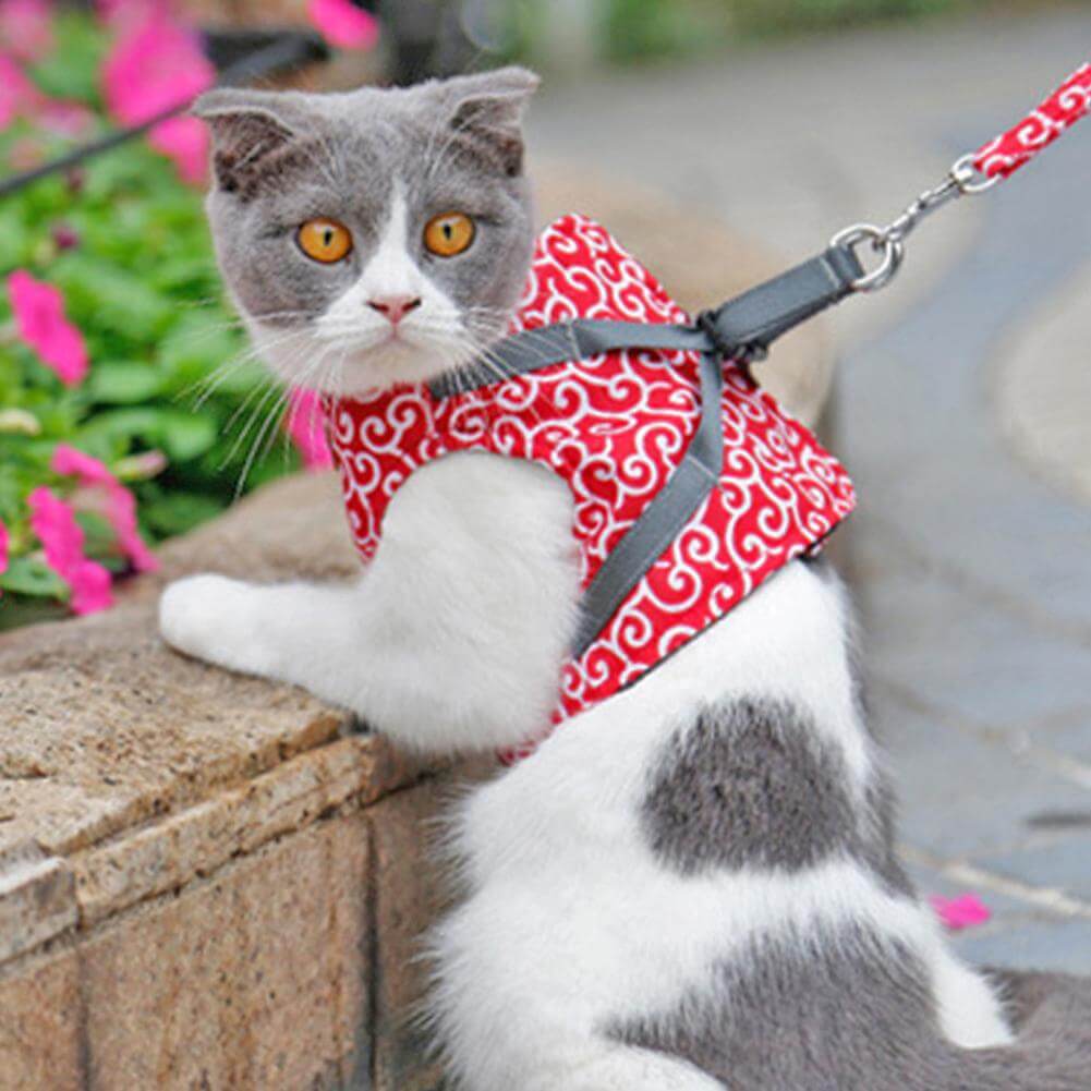 NOUVEAU RICHE Katzengeschirr mit Leine – Verstellbares Brustgeschirr aus atmungsaktivem Mesh mit Schnellverschluss & 1,2 m Leine, XS-S, 3 Farben