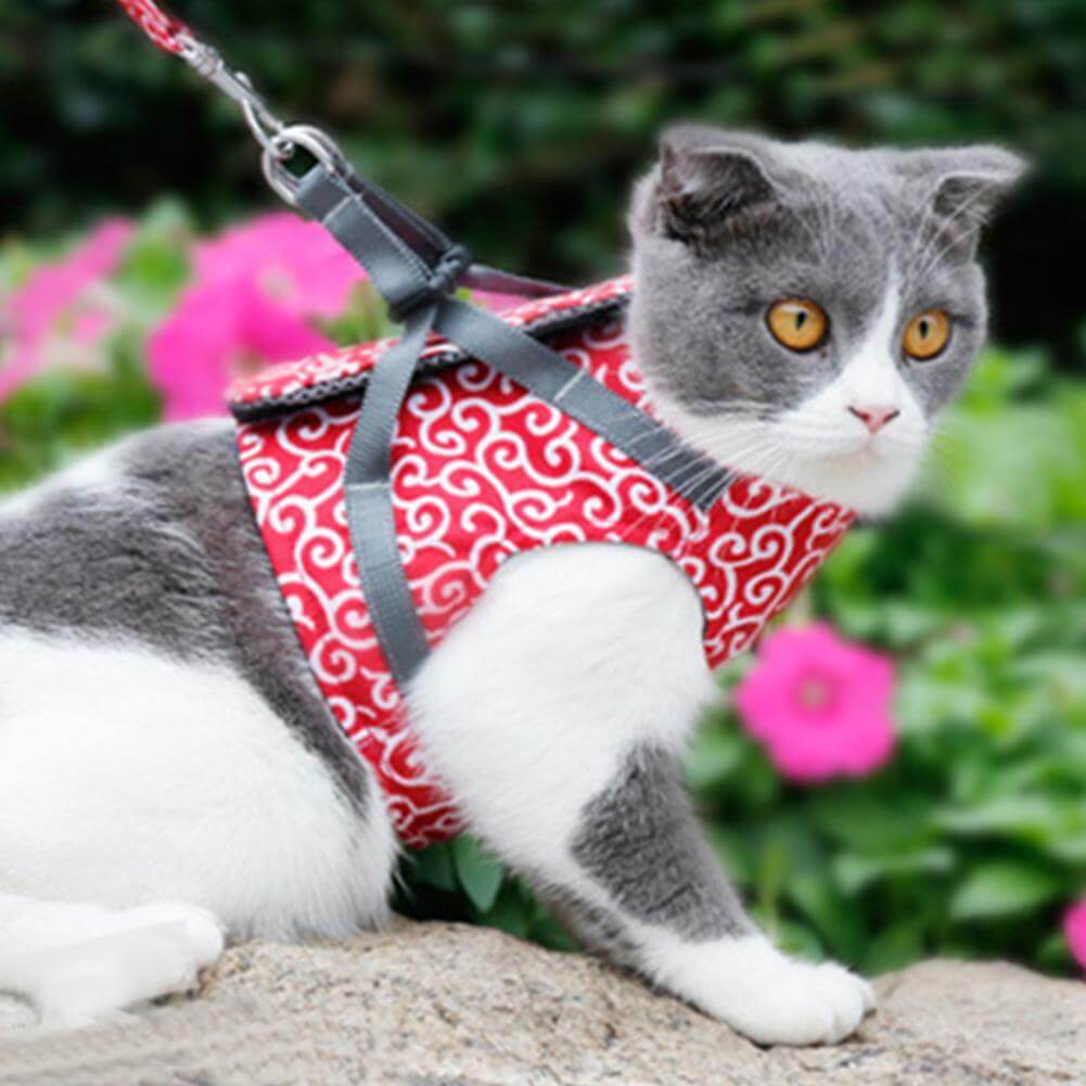 NOUVEAU RICHE Katzengeschirr mit Leine – Verstellbares Brustgeschirr aus atmungsaktivem Mesh mit Schnellverschluss & 1,2 m Leine, XS-S, 3 Farben Rot