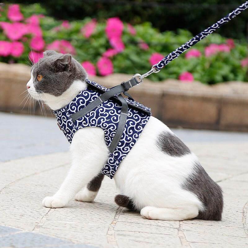 NOUVEAU RICHE Katzengeschirr mit Leine – Verstellbares Brustgeschirr aus atmungsaktivem Mesh mit Schnellverschluss & 1,2 m Leine, XS-S, 3 Farben Blau