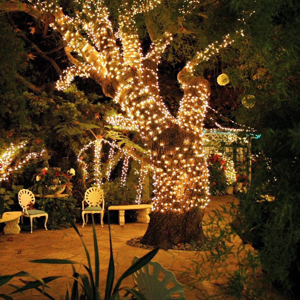 NOUVEAU RICHE Solar Lichterkette Aussen – Wasserdichte IP65 LED-Lichterkette für Garten & Balkon, 5 bis 30 m, 8 Lichtfarben – SoliGlow
