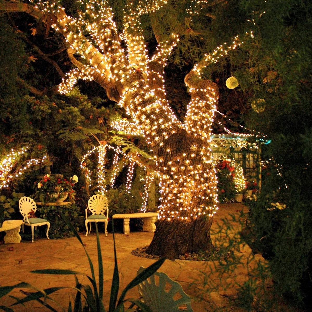 NOUVEAU RICHE Solar Lichterkette Aussen – Wasserdichte IP65 LED-Lichterkette für Garten & Balkon, 5 bis 30 m, 8 Lichtfarben – SoliGlow