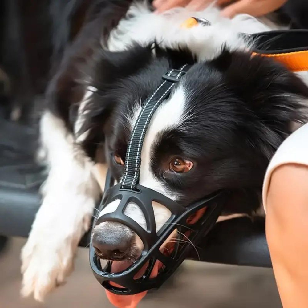 NOUVEAU RICHE Weicher Mesh Maulkorb für Hunde – Atmungsaktiver, verstellbarer Maulkorb gegen Beissen & Fressen – für Spaziergang, Training & Tierarzt, S–XL