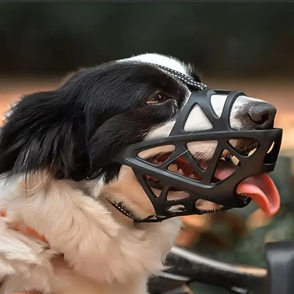 NOUVEAU RICHE Weicher Mesh Maulkorb für Hunde – Atmungsaktiver, verstellbarer Maulkorb gegen Beissen & Fressen – für Spaziergang, Training & Tierarzt, S–XL