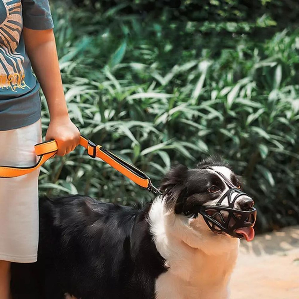 NOUVEAU RICHE Weicher Mesh Maulkorb für Hunde – Atmungsaktiver, verstellbarer Maulkorb gegen Beissen & Fressen – für Spaziergang, Training & Tierarzt, S–XL