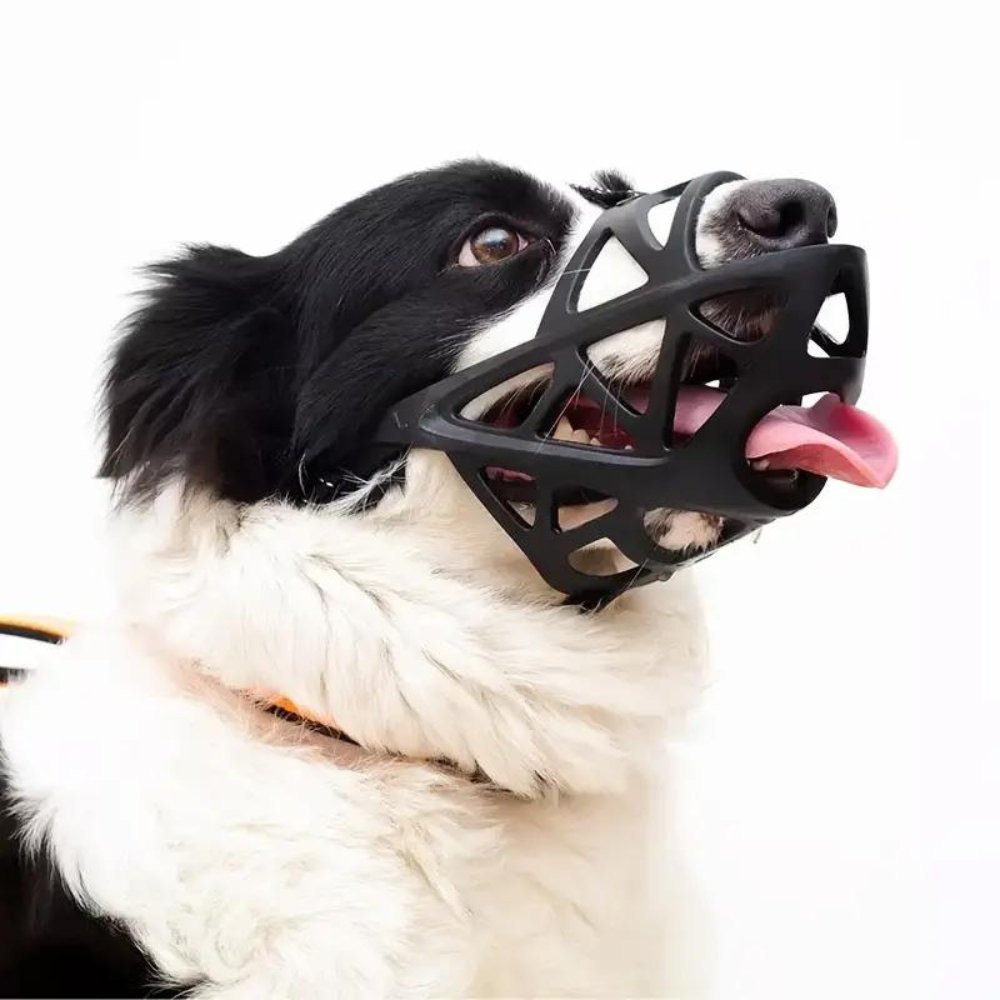 NOUVEAU RICHE Weicher Mesh Maulkorb für Hunde – Atmungsaktiver, verstellbarer Maulkorb gegen Beissen & Fressen – für Spaziergang, Training & Tierarzt, S–XL