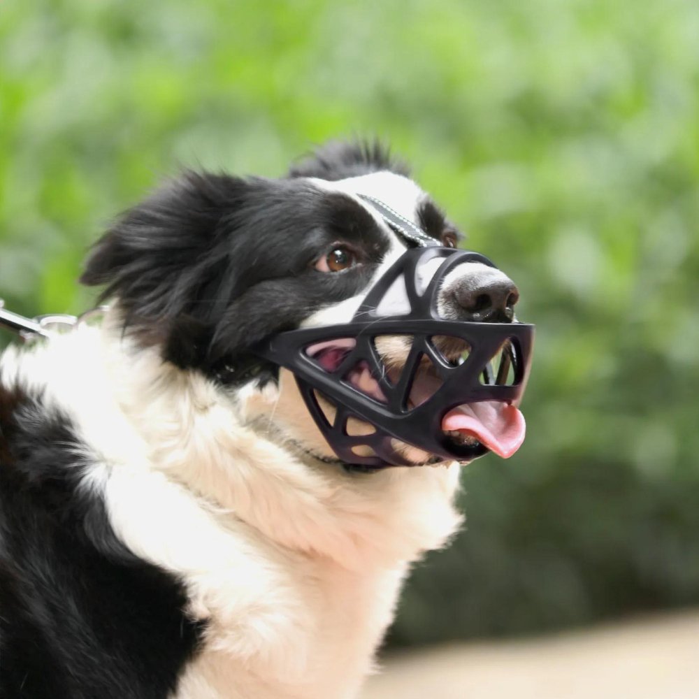 NOUVEAU RICHE Weicher Mesh Maulkorb für Hunde – Atmungsaktiver, verstellbarer Maulkorb gegen Beissen & Fressen – für Spaziergang, Training & Tierarzt, S–XL