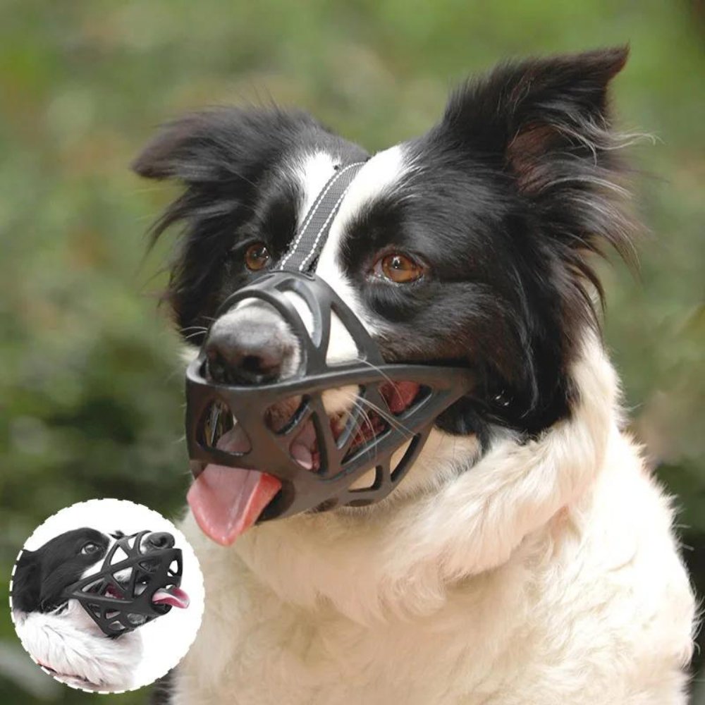 NOUVEAU RICHE Weicher Mesh Maulkorb für Hunde – Atmungsaktiver, verstellbarer Maulkorb gegen Beissen & Fressen – für Spaziergang, Training & Tierarzt, S–XL