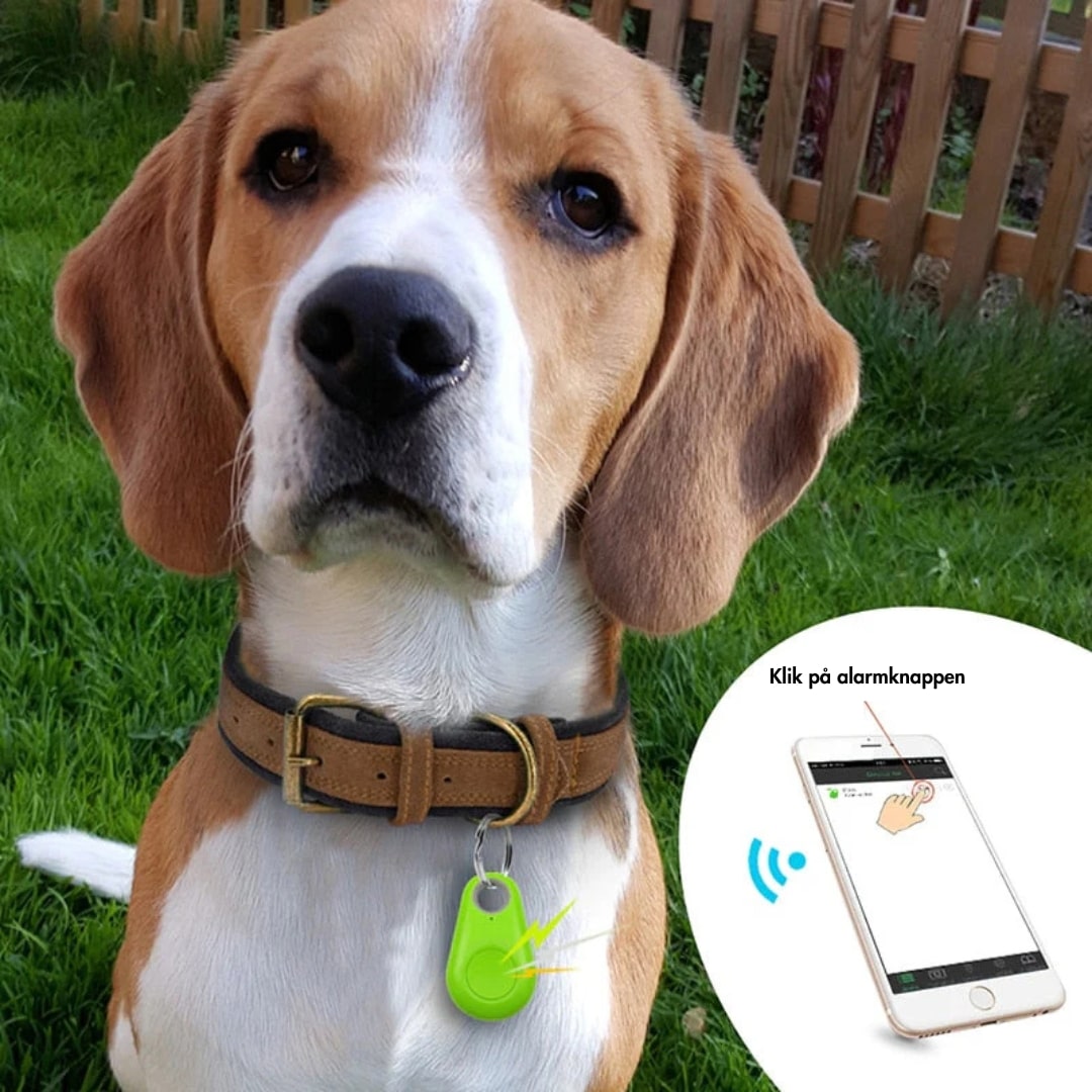 GPS-Tracker mit Live-Ortung – Mini Tracker für Kinder, Haustiere & Wertgegenstände, App, 5 Farben – SafeTrack