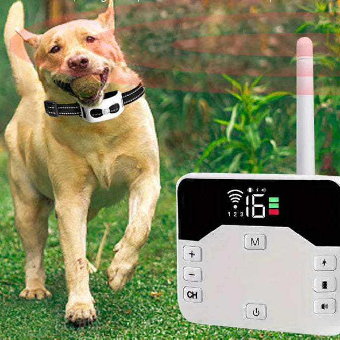 Drahtloses Hundesicherungssystem – Funkzaun für Hunde mit GPS-Bereich & Trainingsfunktion, für 1 oder 2 Hunde – TailZone