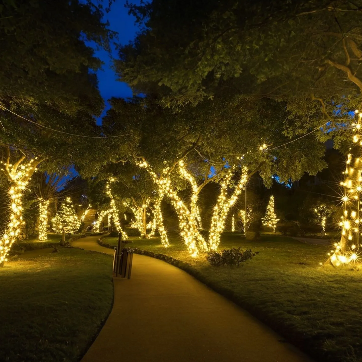 NOUVEAU RICHE Solar Lichterkette Aussen – Wasserdichte IP65 LED-Lichterkette für Garten & Balkon, 5 bis 30 m, 8 Lichtfarben – SoliGlow