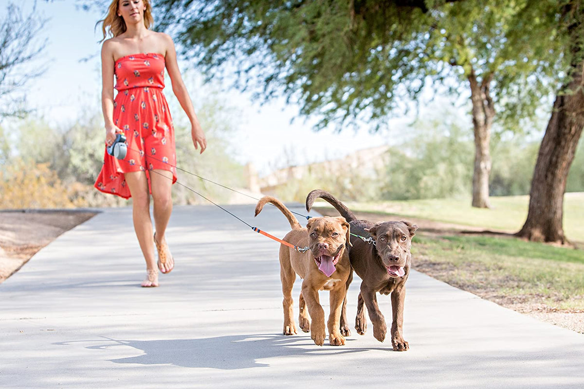 Guinzaglio doppio per cani – doppio guinzaglio per 2 cani con snodo girevole a 360°, anti-groviglio, riflettente – WalkMate