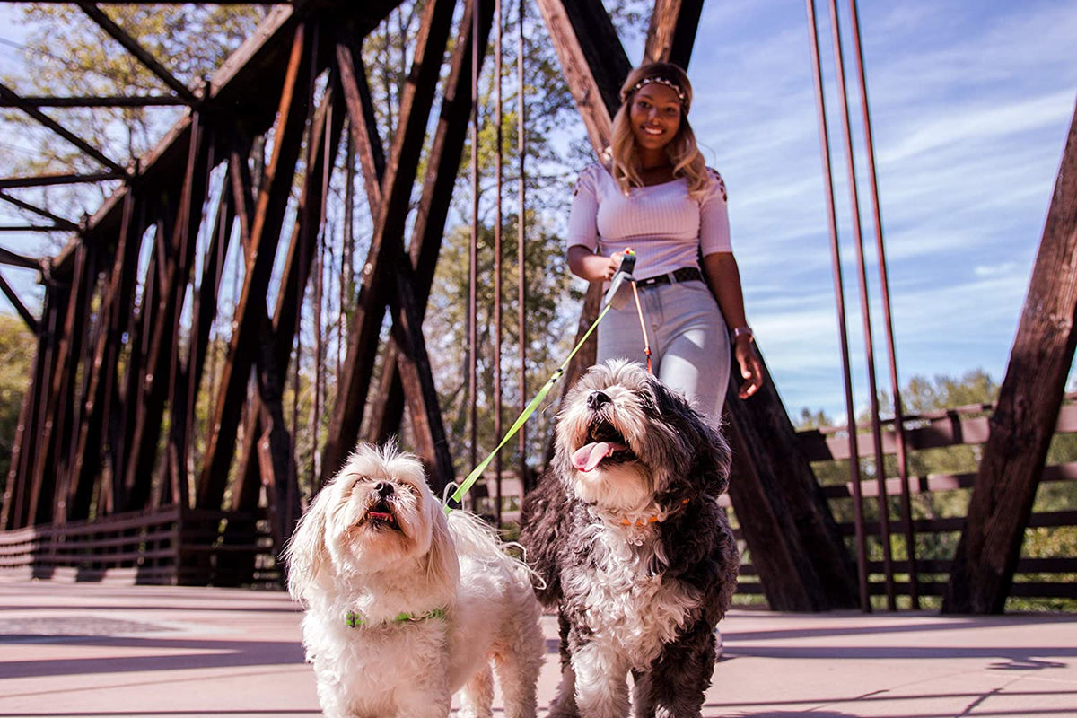 Guinzaglio doppio per cani – doppio guinzaglio per 2 cani con snodo girevole a 360°, anti-groviglio, riflettente – WalkMate